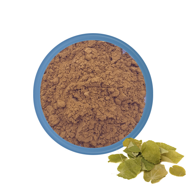 Polvo de hierba de cabra cachonda (epimedium 20% icariin)