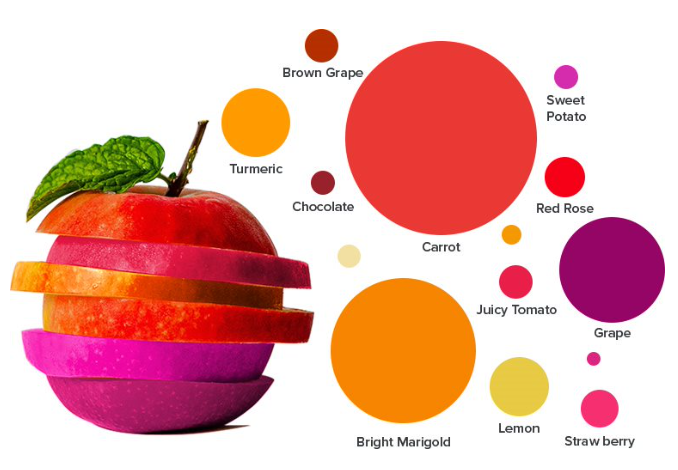 Colores de comida biotecnología yangge