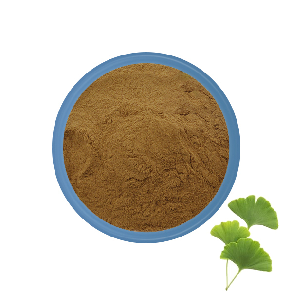 Ginkgo biloba extracto de hojas en polvo a granel 25 kg