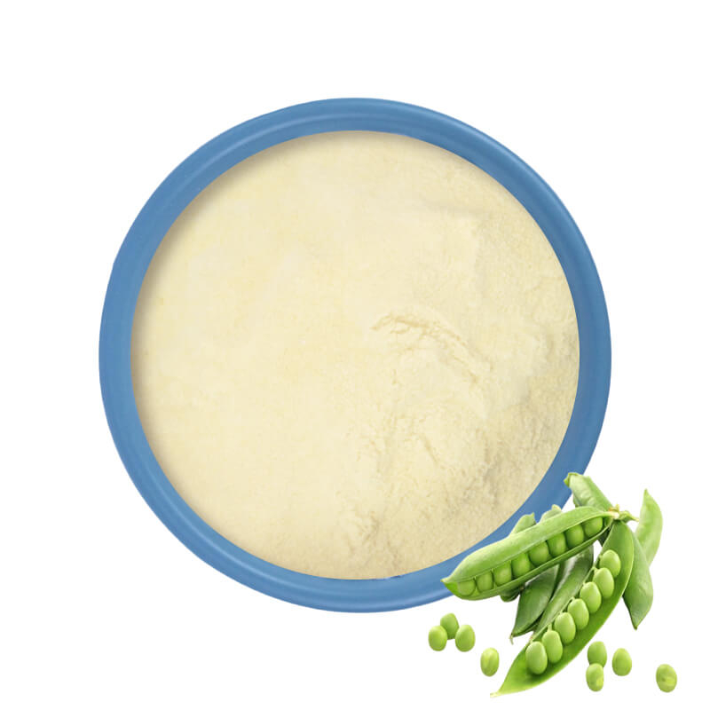 Polvo de proteína de guisante orgánico a granel