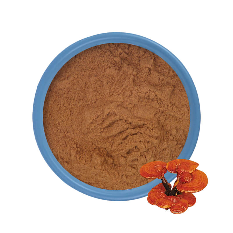 Extracto de ganoderma lúcida