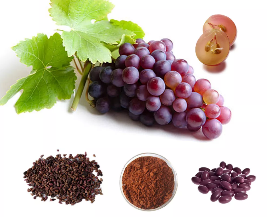 ¿Qué es el extracto de semilla de uva?