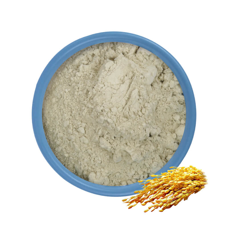 Polvo de proteína de arroz
