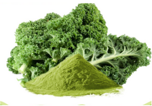 best organic kale powder - YanggeBiotech.png