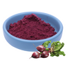 Polvo de raíz de remolacha roja