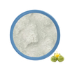 Precio de polvo de Garcinia Cambogia 