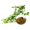Extracto de Bacopa Monnieri Comprar