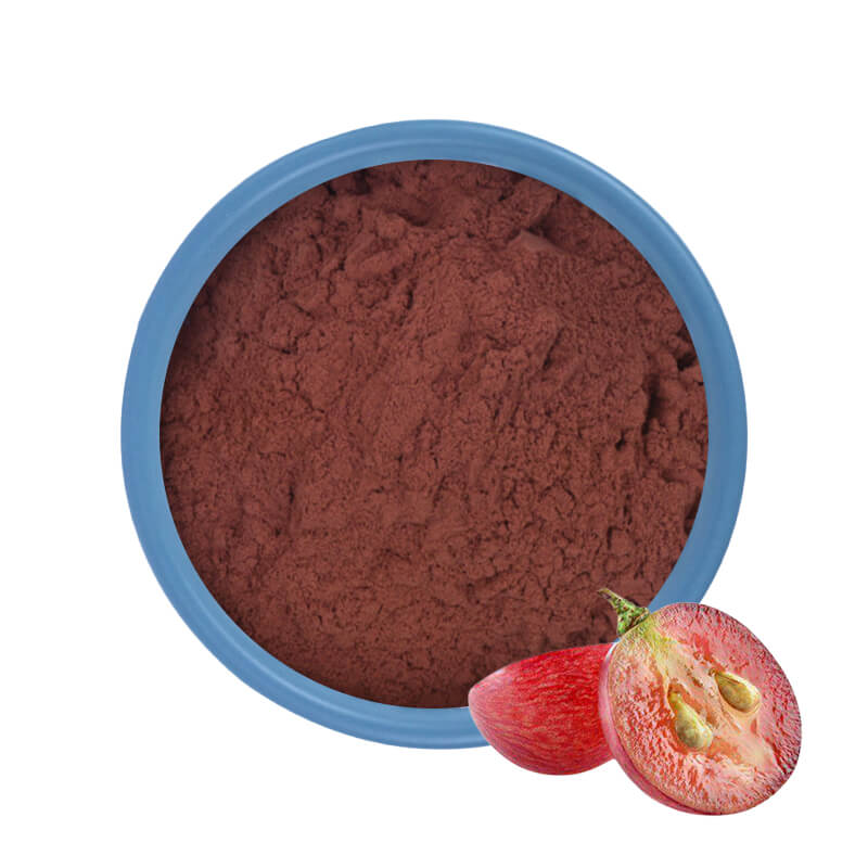 Extracto de semilla de uva 95% OPC