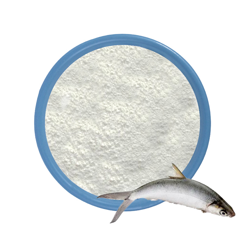 Péptido de colágeno de peces marinos