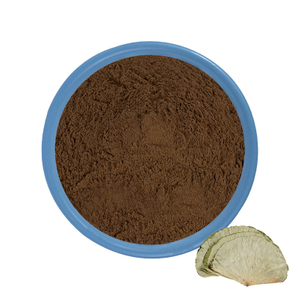 Mejor polvo de extracto de hoja de loto